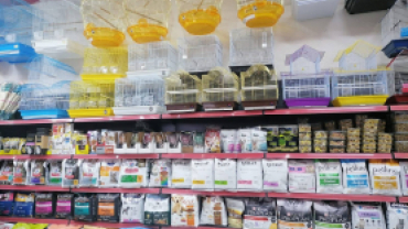 Işık Petshop