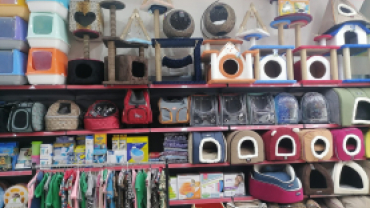 Işık Petshop